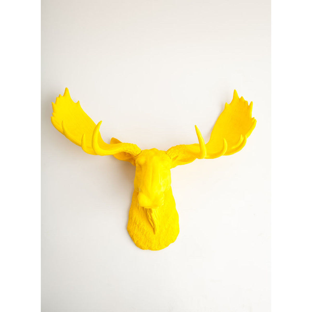 The Egberton - Yellow