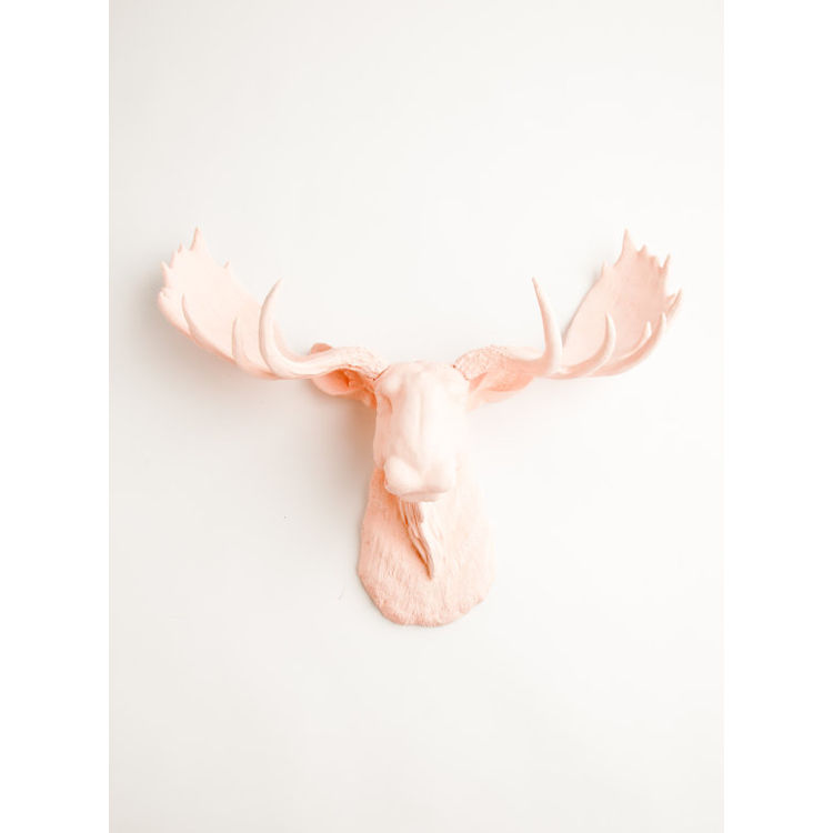 The Lillian - Cameo Pink by White Faux Taxidermy