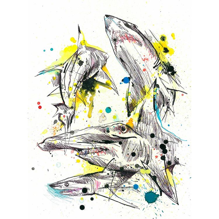#sharks by Ben Tour