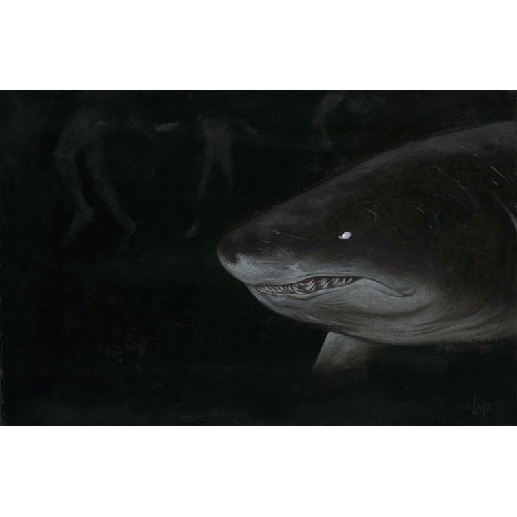 Chark by Jeff McMillan