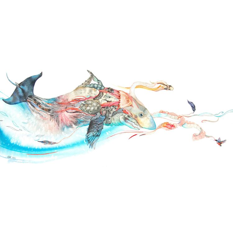 Shark by Laura Ball