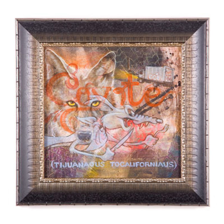 Coyote - Pollitos by WERC