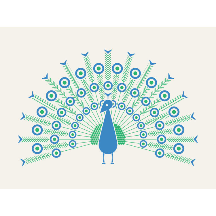 Peacock by Sean Mort