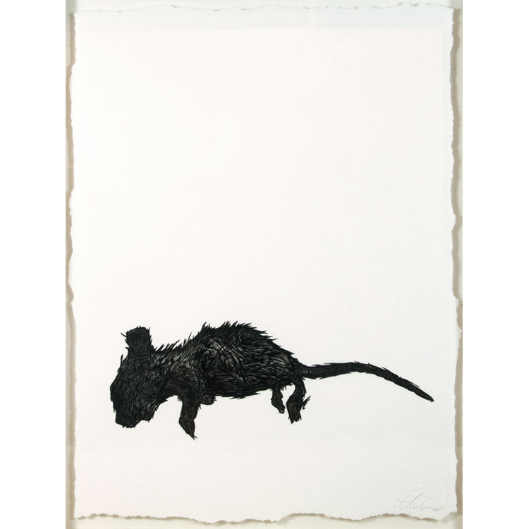 Hangover Rat by Mathew Curran