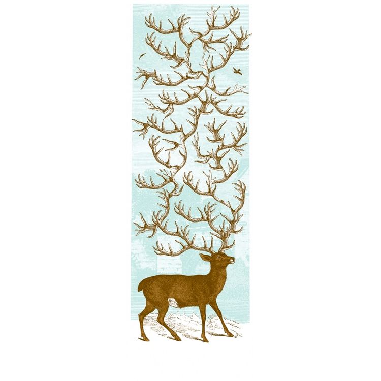 Antlers by Nate Duval