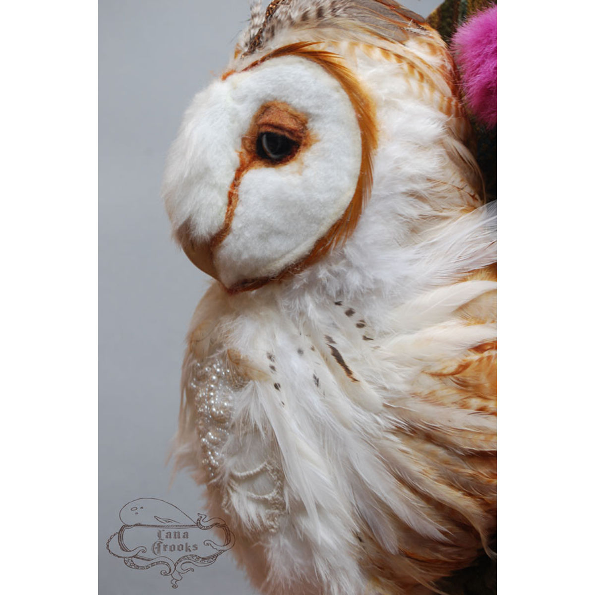 Blodeuwedd (The White Lady)