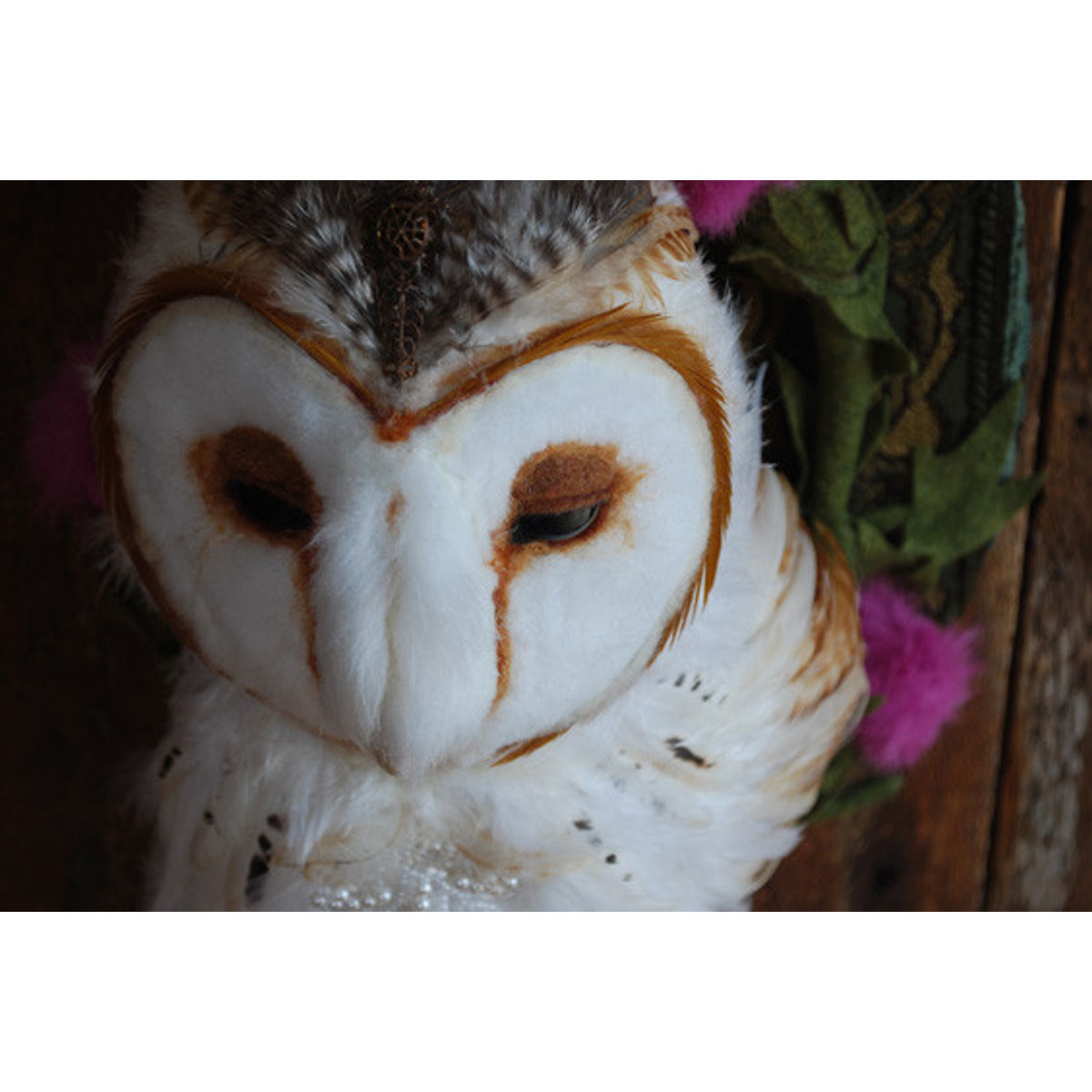 Blodeuwedd (The White Lady)