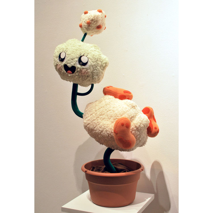 Dimple Plant by Anne Kim