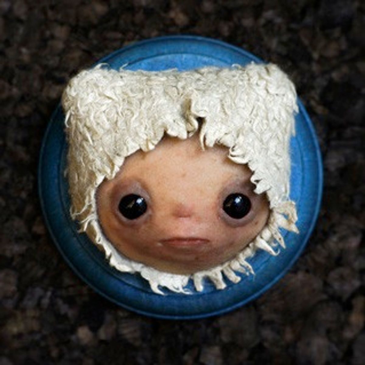 The Last of His Kind