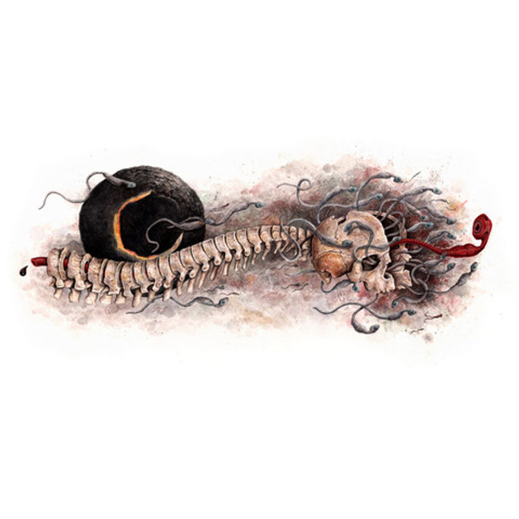 The Endosperm by Kyle Norris