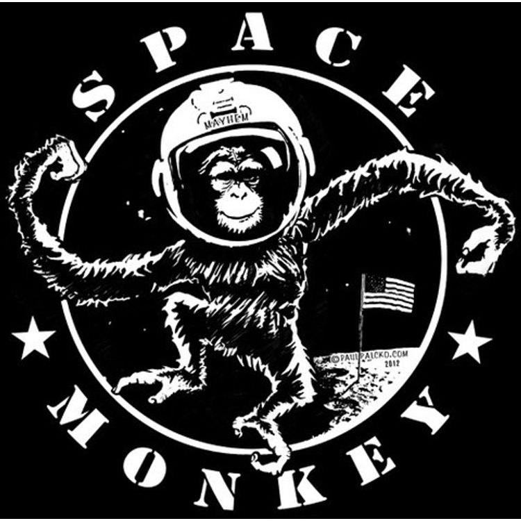 Space Monkey by Paul Palcko