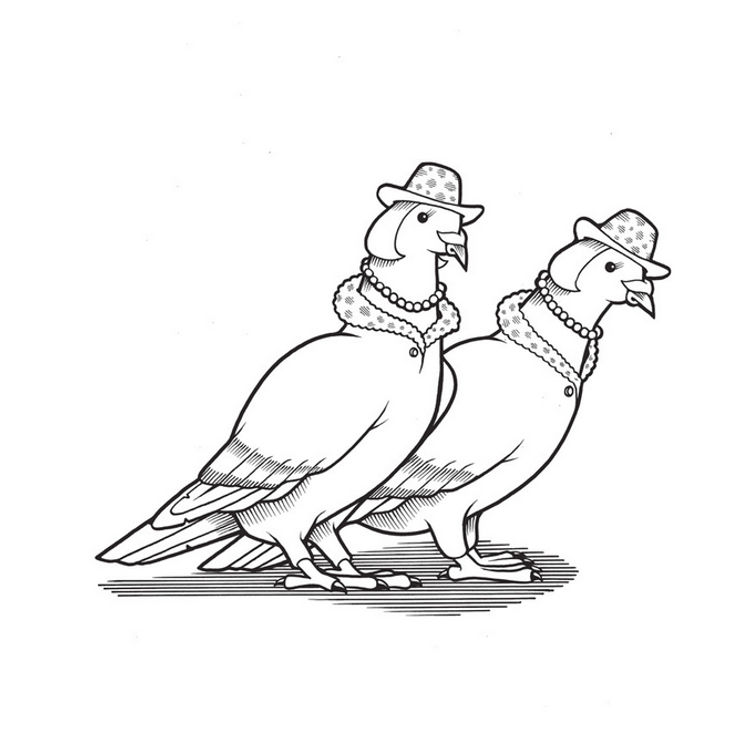 Nob Hill Pigeons by Jeremy Fish