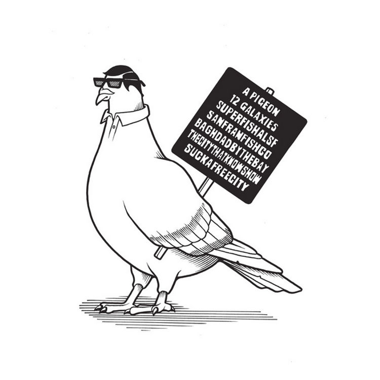 12 Galaxies Pigeon by Jeremy Fish