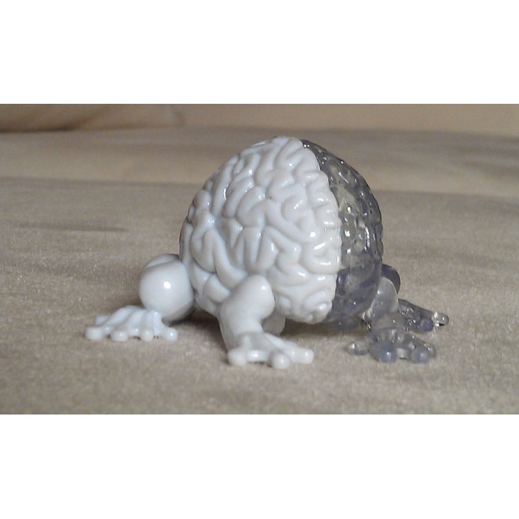 Jumping Brain - White/Clear GID by Emilio Garcia