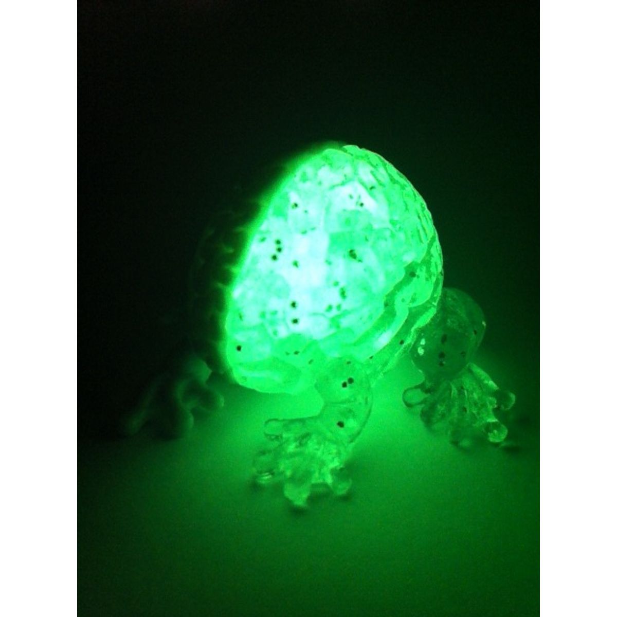 Jumping Brain - White/Clear GID