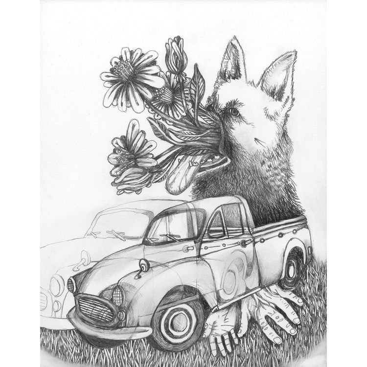 Dog by John Casey