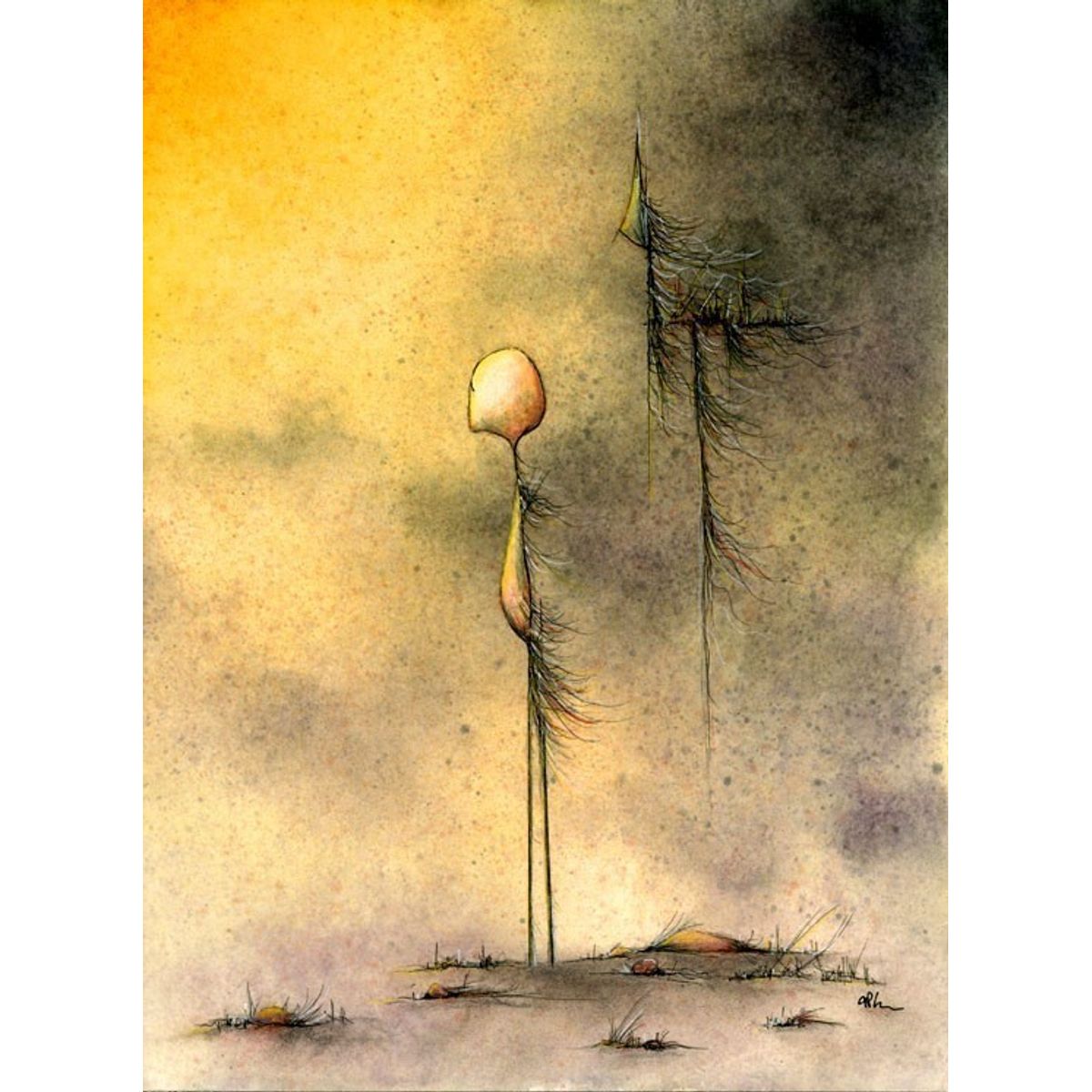 An Understanding of Illusion