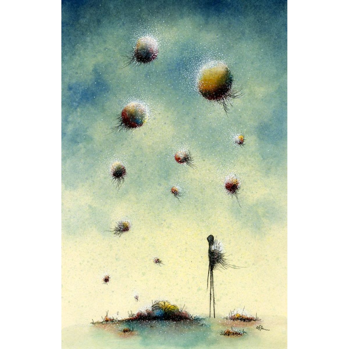 Rare Forms Bear Witness