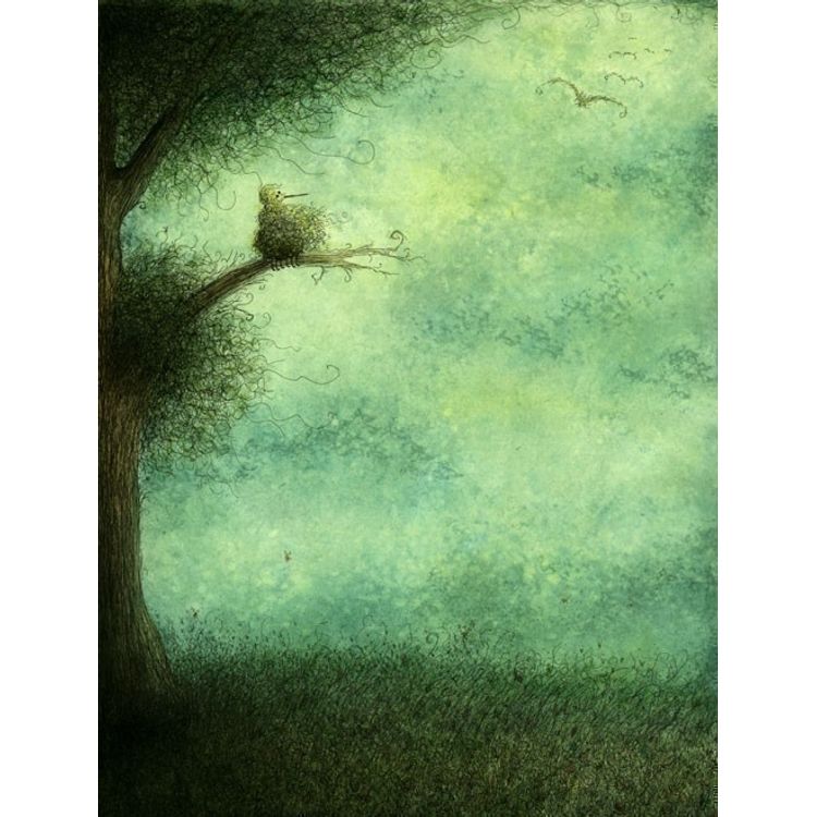 Forgetting The Sky by Jeannie Lynn Paske