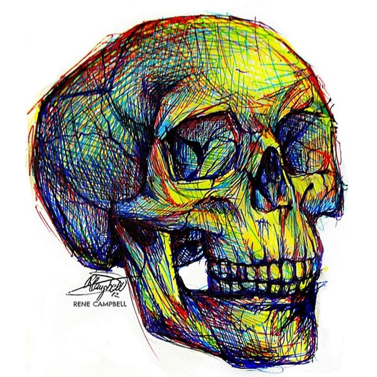 null by Rene Campbell