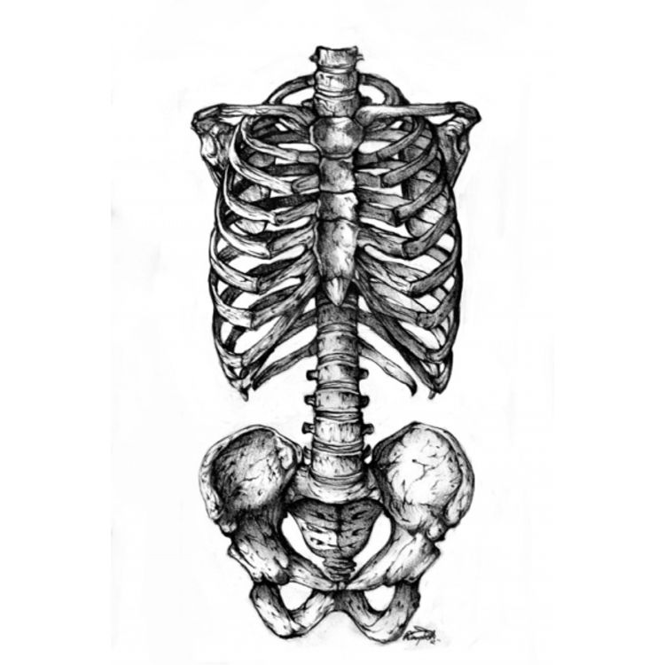 null by Rene Campbell