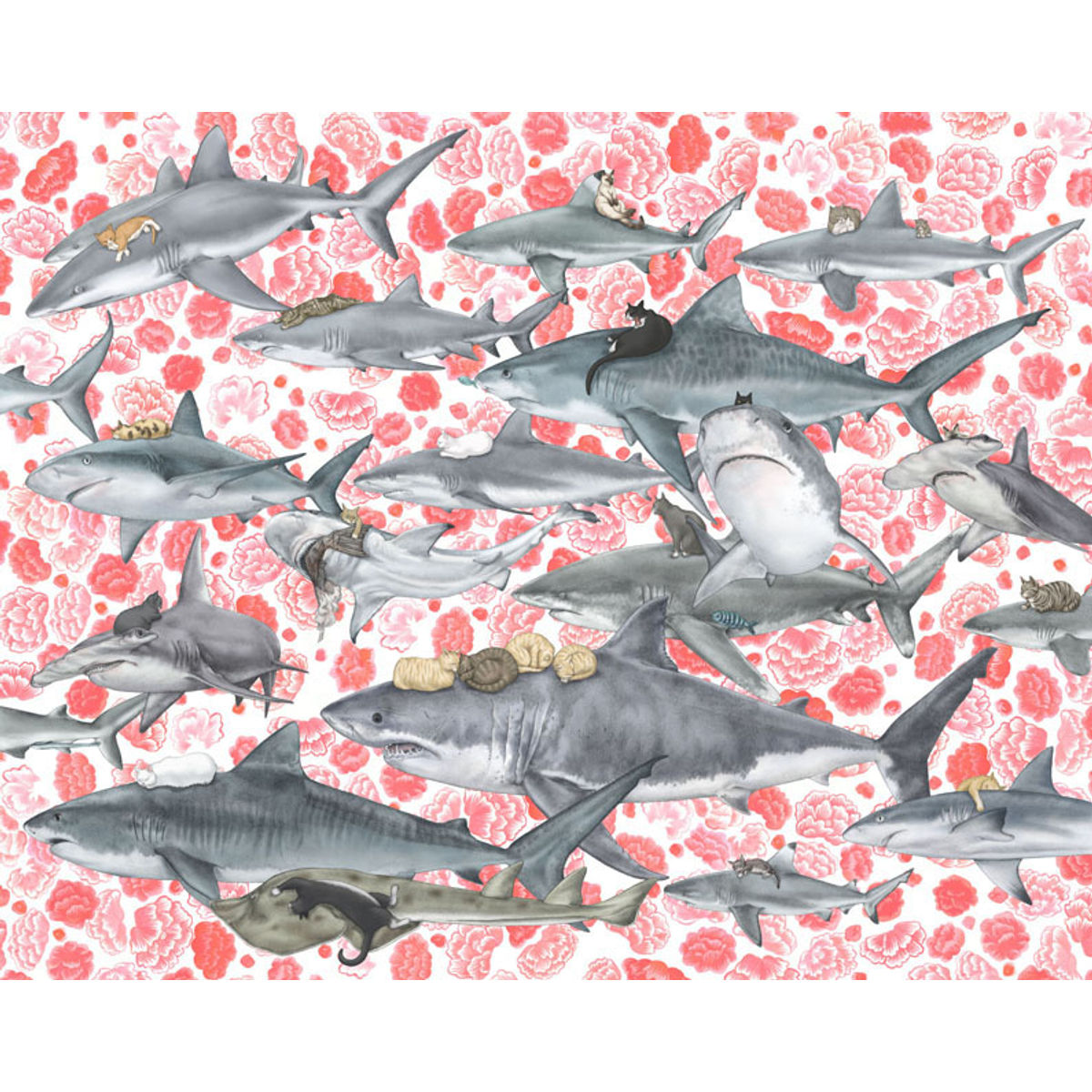 Hunters: Sharks an’ Kittehs