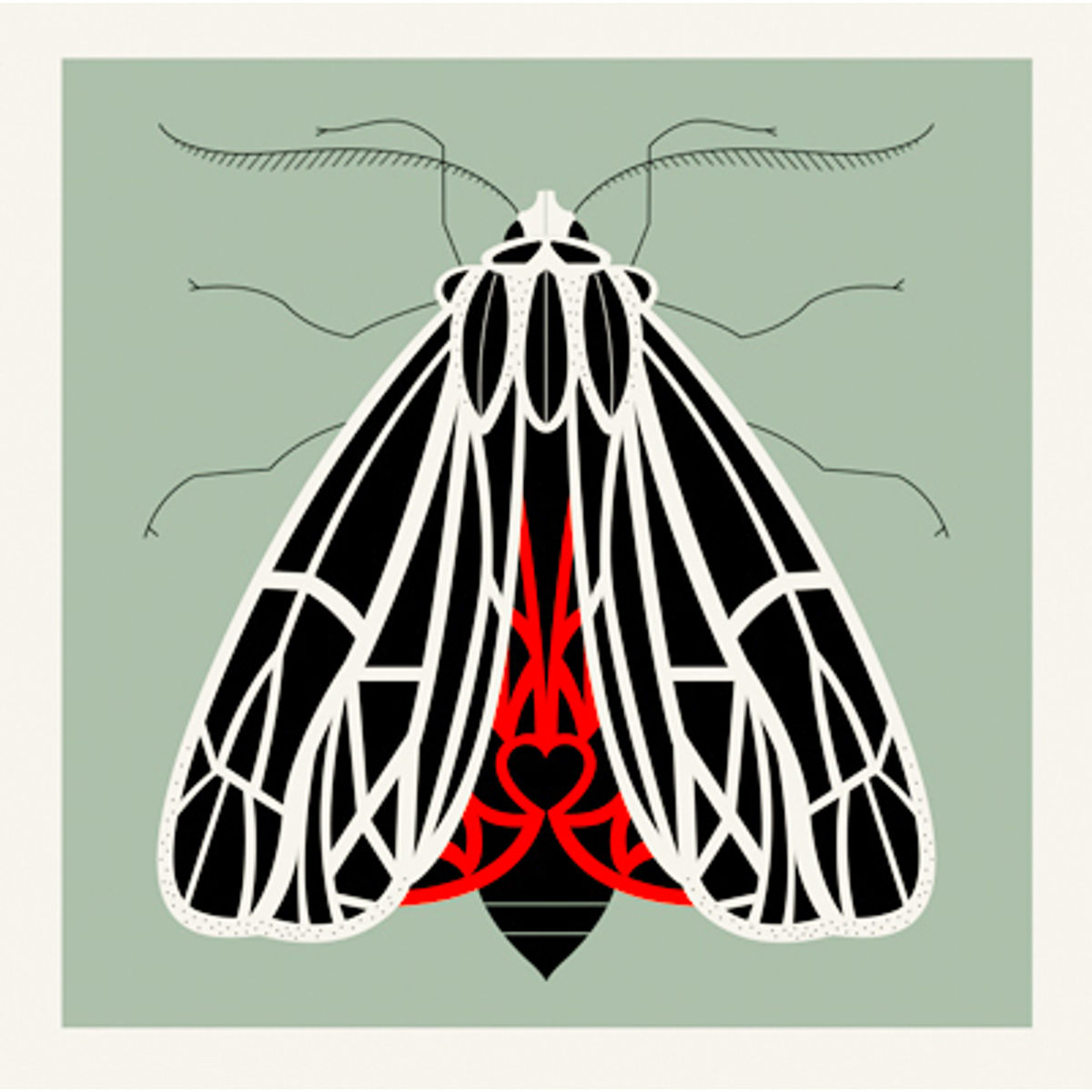 Moth-Tiger