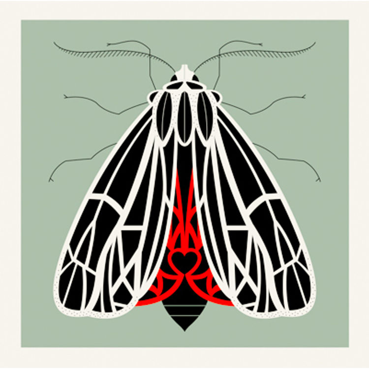 Moth-Tiger by Methane Studios