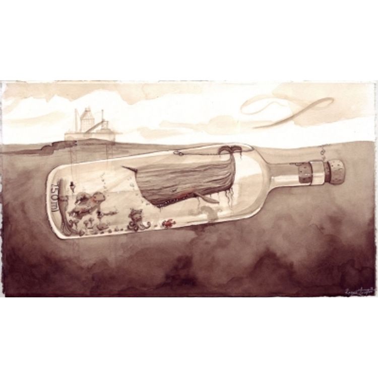 Message in a Bottle by Renee Lawter