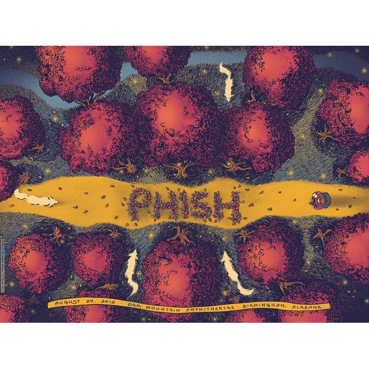 Phish - Birmingham AL 2012 by James Flames