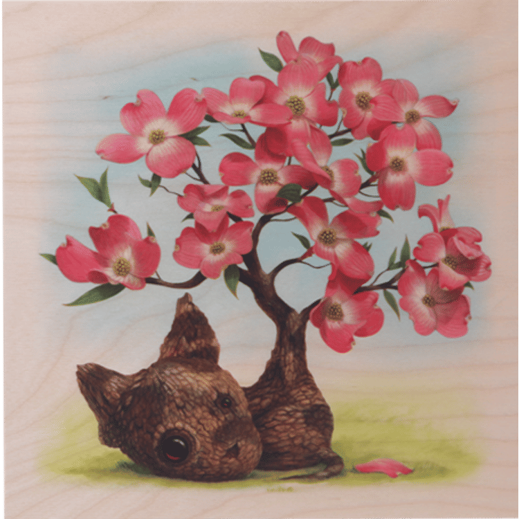 Dogwood by Cuddly Rigor Mortis