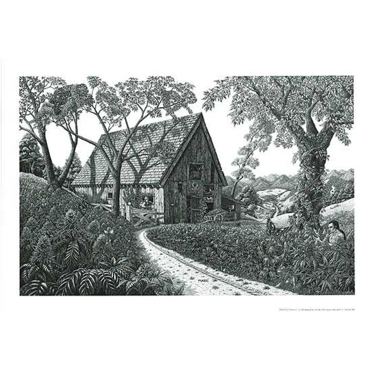 Field of Dreams by Tom Masse