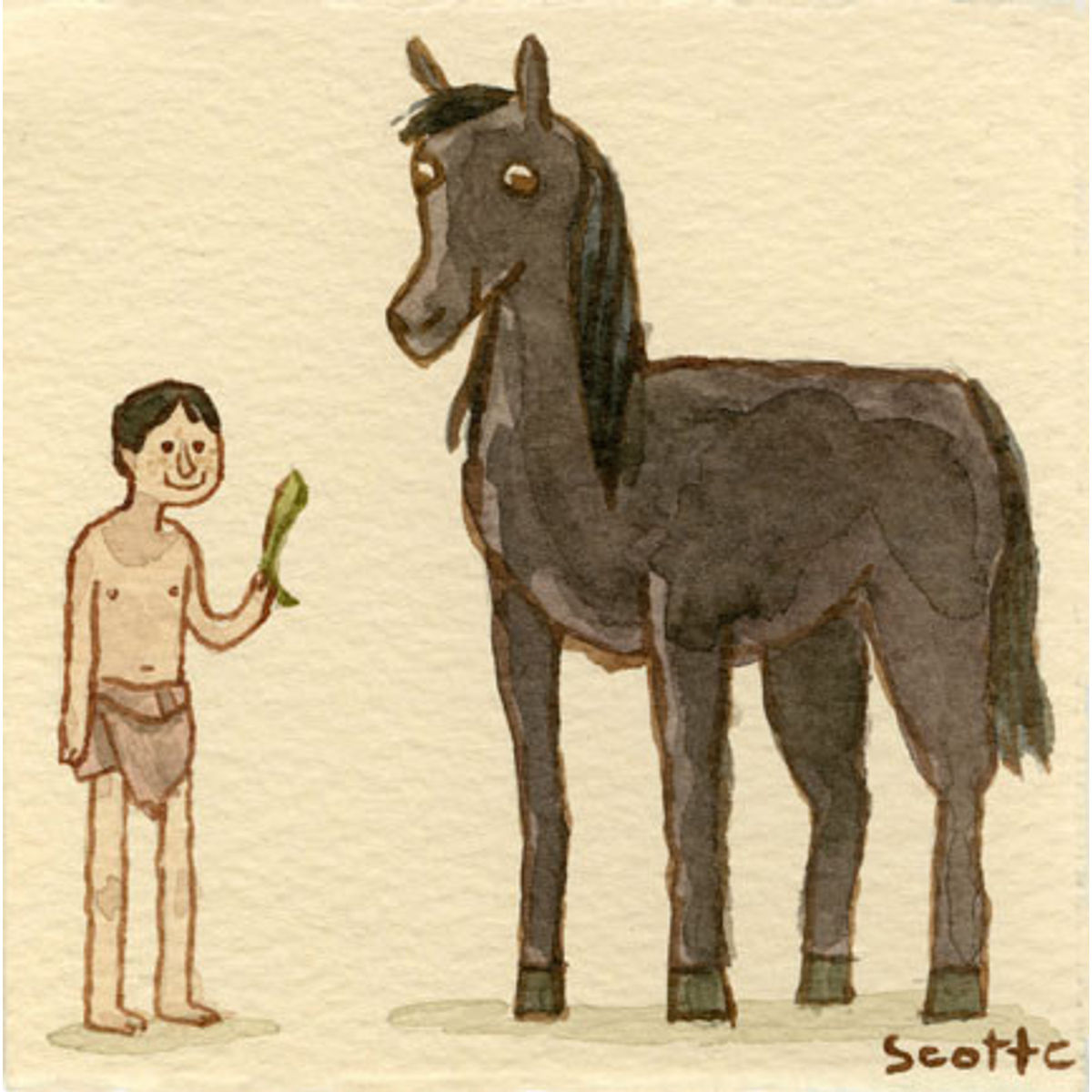 The Black Stallion