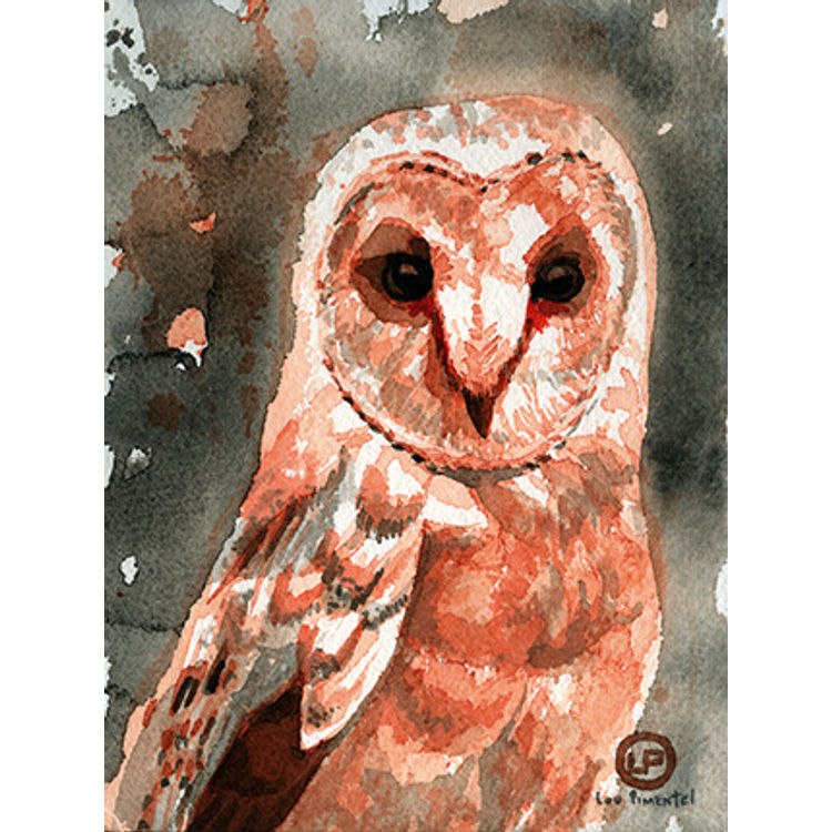 Barn Owl by Lou Pimentel