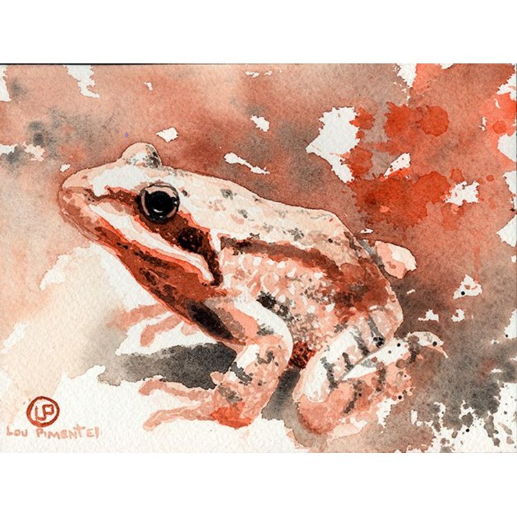 The Frog by Lou Pimentel