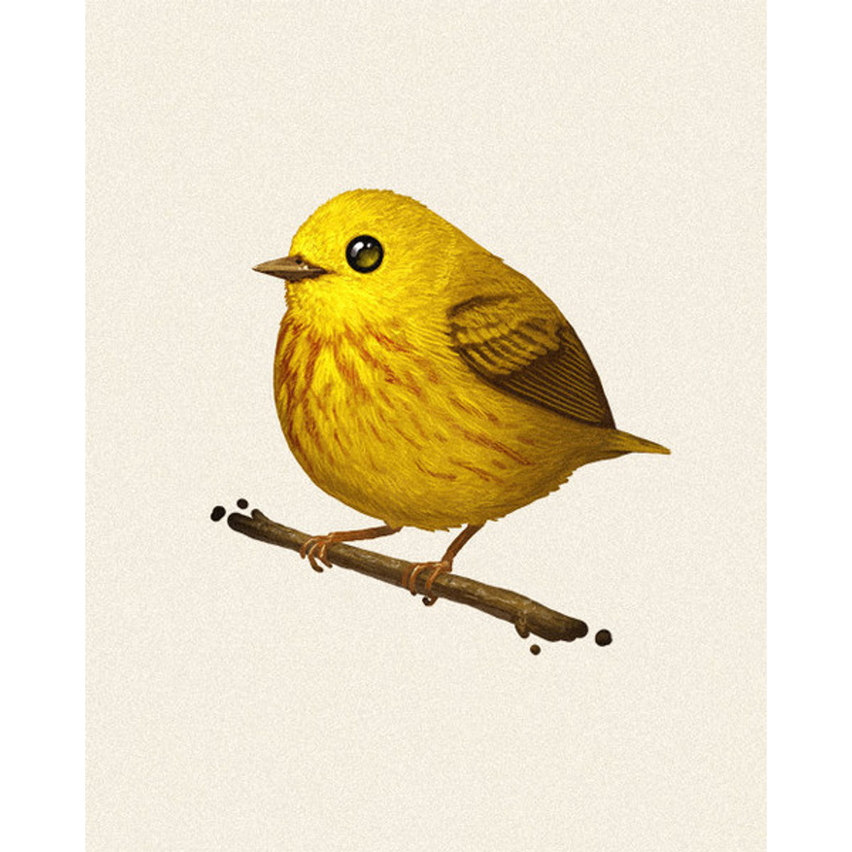 Fat Bird - Yellow Warbler