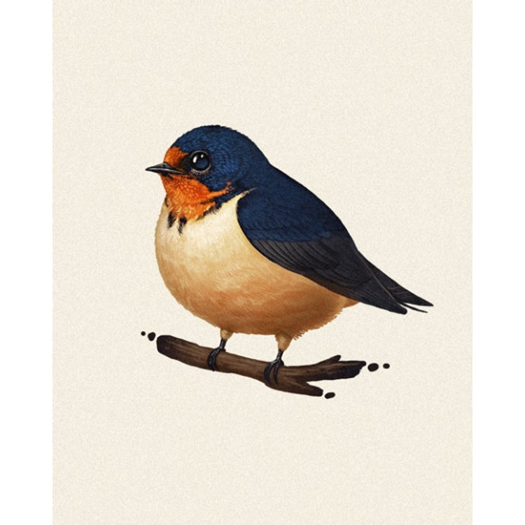 Fat Bird - Barn Swallow by Mike Mitchell
