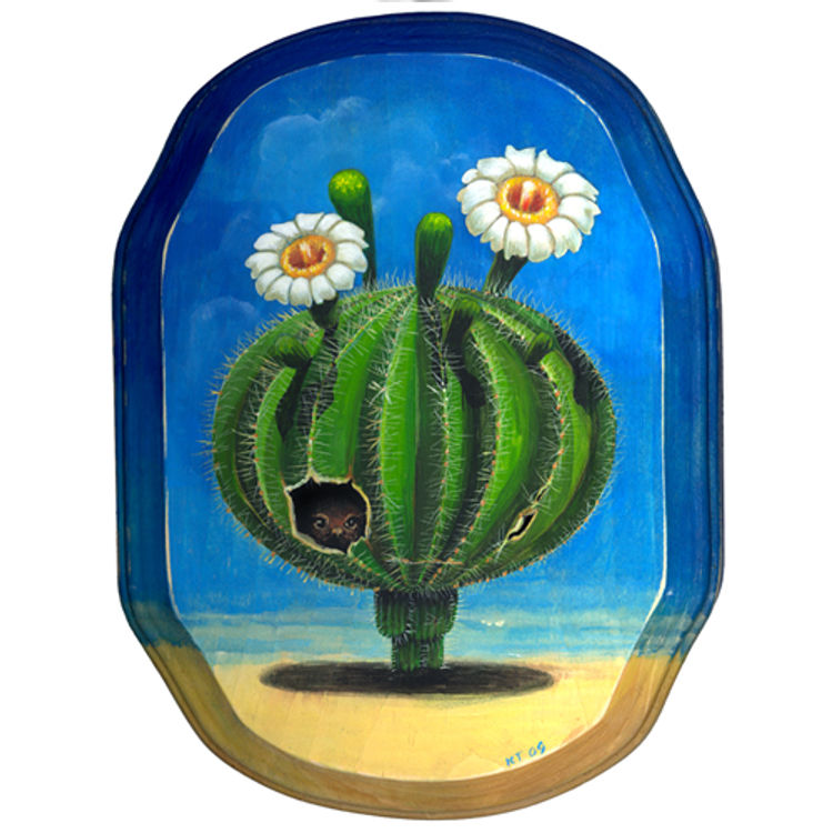 What's the Point? by Cuddly Rigor Mortis