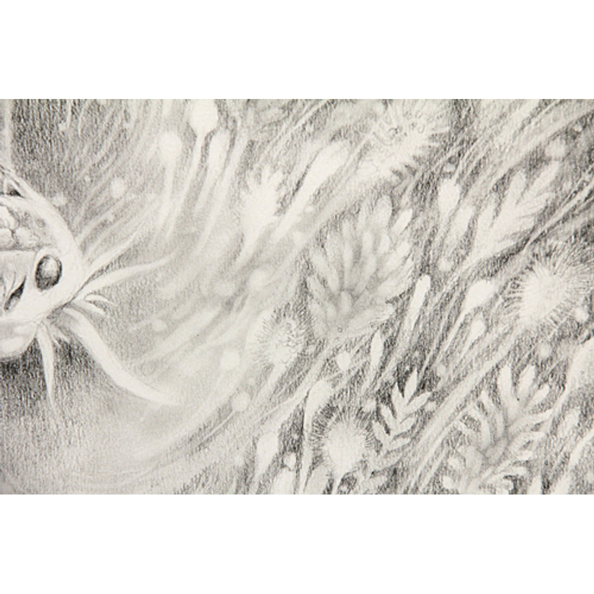 MIND GAME (DRAWING)