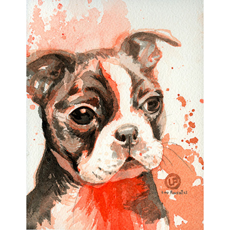 Boston Terrier Puppy by Lou Pimentel