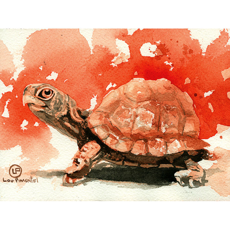 Turtle by Lou Pimentel