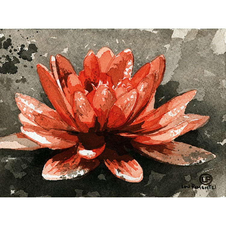 Water Lilly by Lou Pimentel