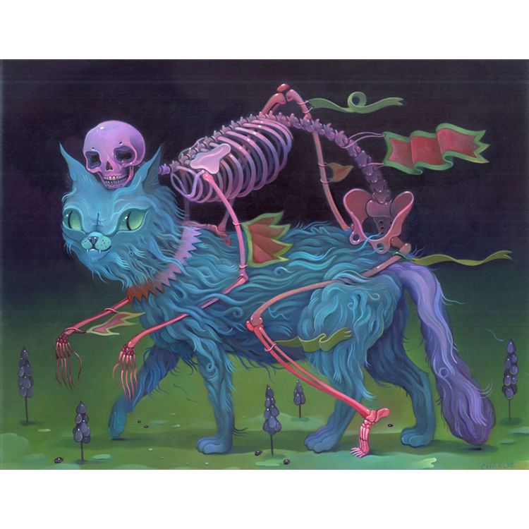 Bone Guide by Charlie Immer