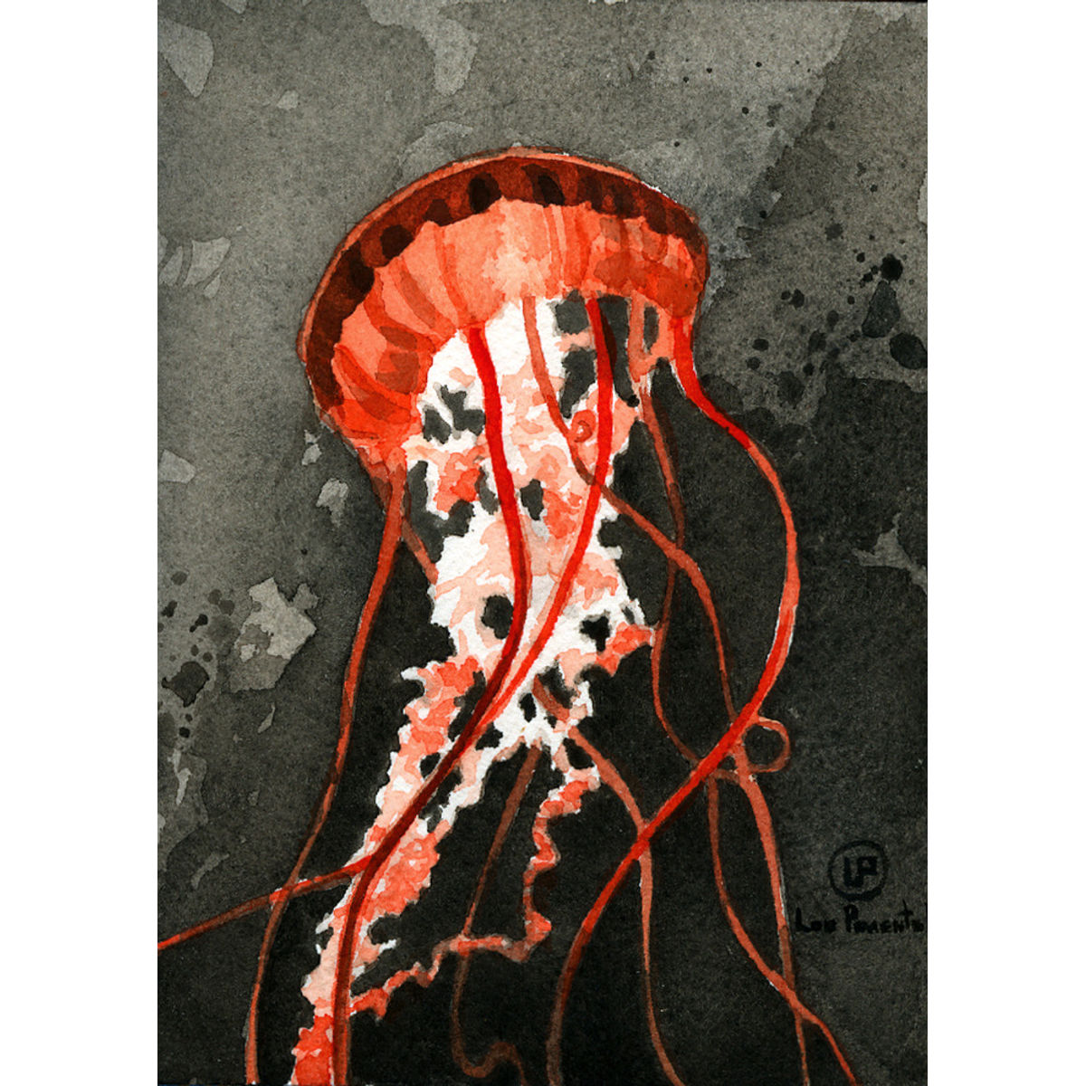 Jellyfish