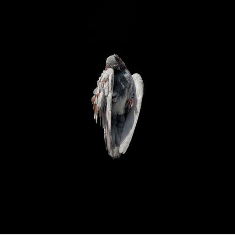 Miserere 2 by Jeremy Geddes