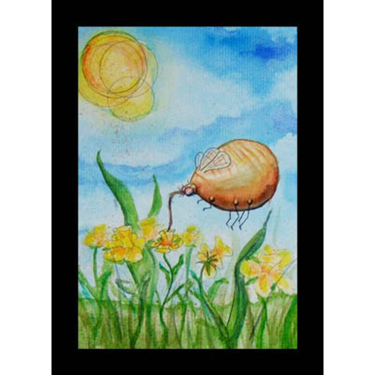 Biscuitfly by Infinite Rabbits