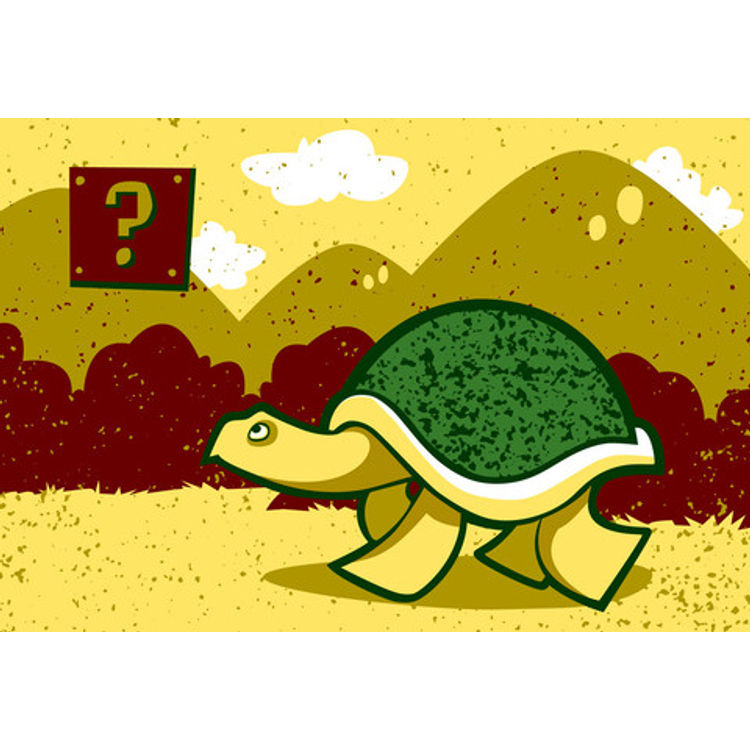 Curious Koopa by Doug LaRocca