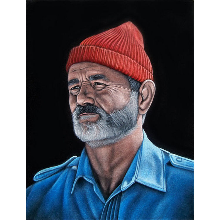 Steve Zissou by Bruce White