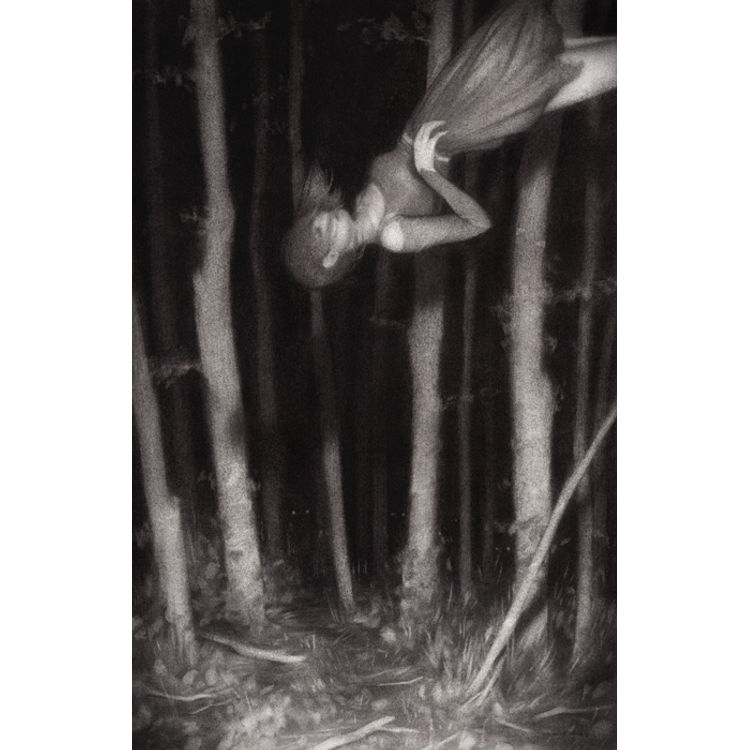 Harvest by Sam Wolfe Connelly