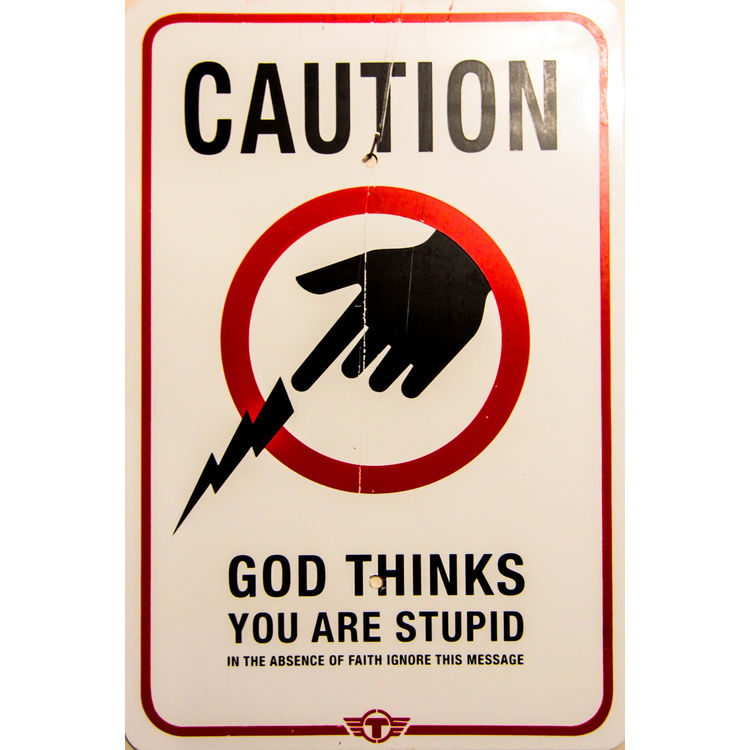 God Thinks You Are Stupid by Trustocorp